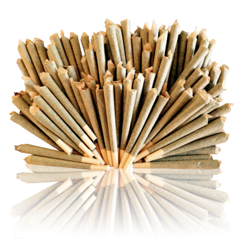 joints-preroules