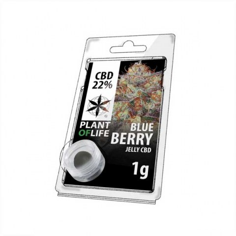 cbd jelly blueberry 1g bb
