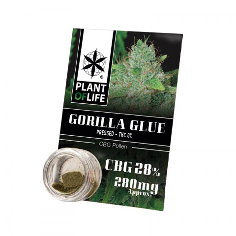 gorillaglue-cbg-28