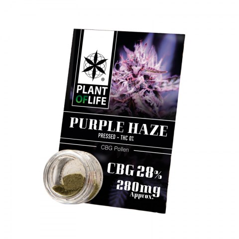 purplehaze-cbg28